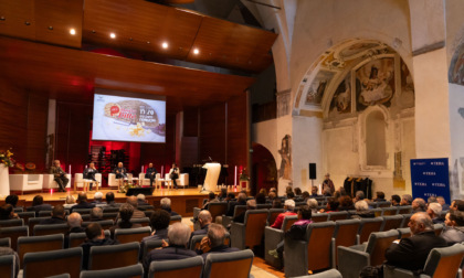 Mostra del Bitto: Valtellina patria dell'eccellenza per la produzione lattiero-casearia