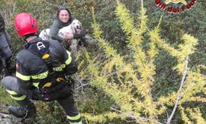 Cane finisce in un crepaccio, salvato dai Vigili del Fuoco