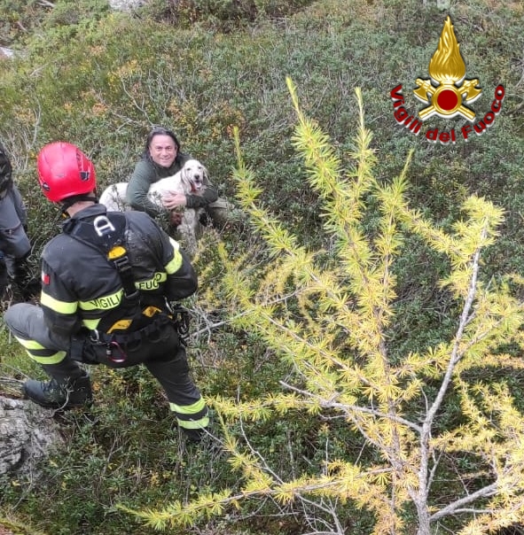 Cane finisce in un crepaccio, salvato dai Vigili del Fuoco