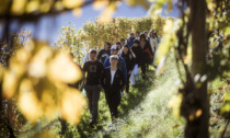 Valtellina Wine Trail: le gare Students hanno aperto l’11ª edizione