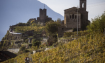 Valtellina Wine Trail 2024: record di partecipanti e tante emozioni