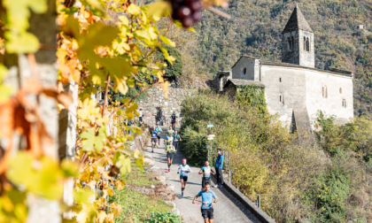 Valtellina Wine Trail 2026, pettorali sold out in meno di 5 giorni