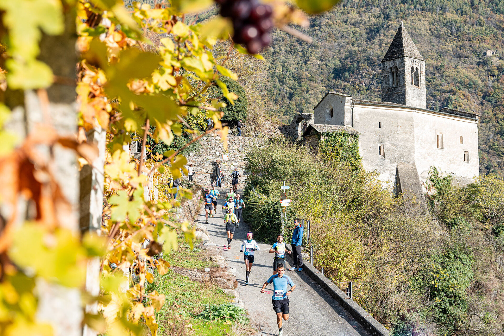 Valtellina_Wine_Trail_prima donna GM-24-08860