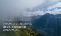 Nuovi strumenti promozionali per le imprese che scelgono il marchio Valtellina