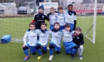 Risultati del settore giovanile della Nuova Sondrio Calcio, 25 e 26 gennaio 2025