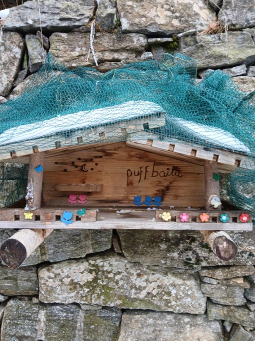 Vanno in alta montagna per rubare… i Puffi!