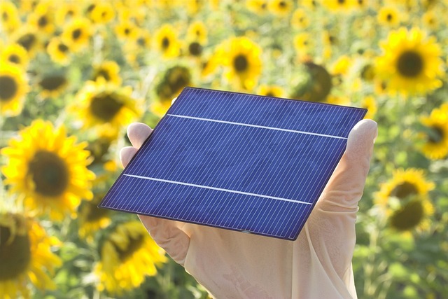 A Talamona un incontro aperto al pubblico per scoprire vantaggi e benefici della Comunità Energetica Rinnovabile