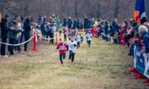 28° Cross della Bosca:  brilla il talento e la corsa elegante di Succetti e Bardea