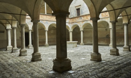 Apre a Palazzo Besta la mostra “Valtellina. Il senso del vino”: un viaggio multisensoriale nel cuore della cultura vitivinicola