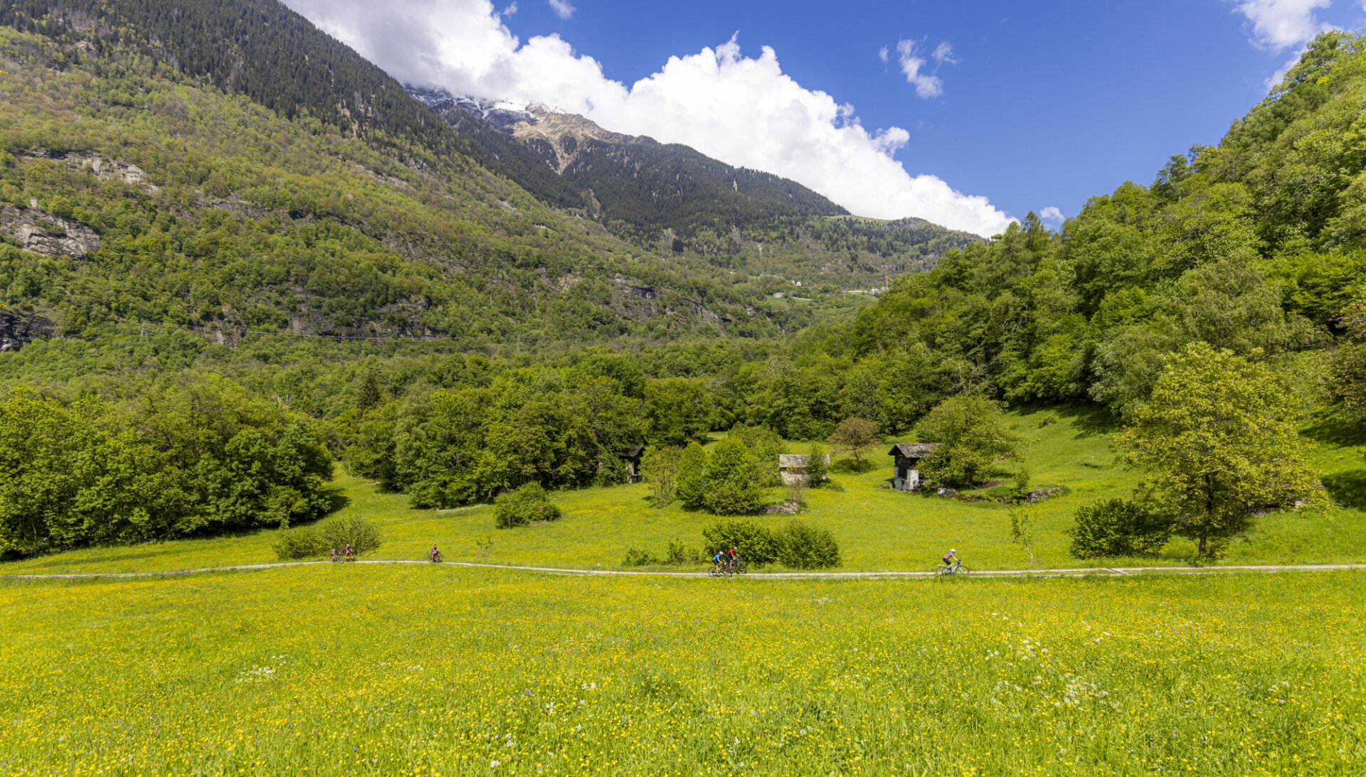 BREGAGLIA (4)