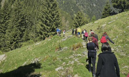 Giugno in Val Tartano: esperienze culturali tra arte e natura