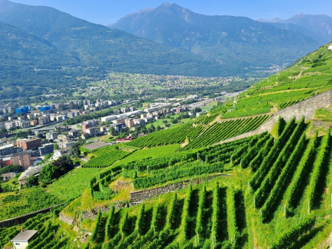 Agricoltura di montagna: convegno  a Sondrio fra tradizione e sostenibilità