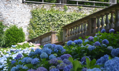 La “Cenerentola” di Rossini incanta il giardino di Palazzo Vertemate: musica e teatro all’aperto l’8 giugno