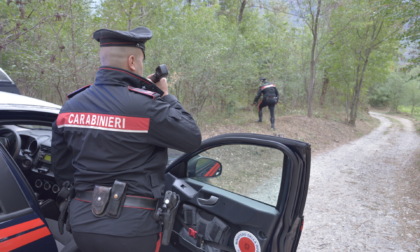 Operazione antidroga nei boschi di Sondrio e Castione Andevenno: trovati bivacchi, recuperata refurtiva