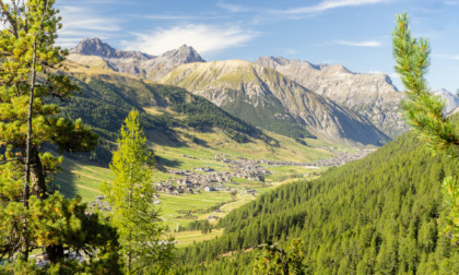 Estate 2025 a Livigno: il calendario completo degli eventi tra sport, cultura e tradizioni alpine