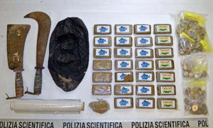 Operazione Antidroga: la Polizia di Stato smantella base di spaccio nei boschi di Talamona