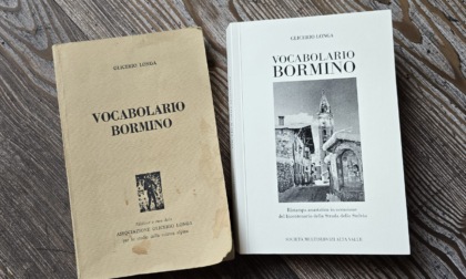 Vocabolario del bicentenario della strada dello Stelvio in regalo ai bormini