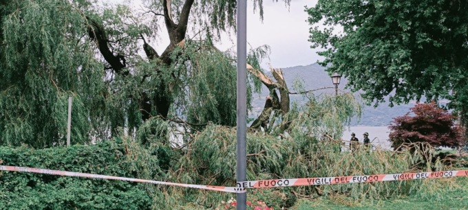 Maltempo a Colico: albero abbattuto dal vento sul lungolago, ferito un ciclista