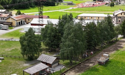 Partiti i lavori del cavidotto interrato a Rasin
