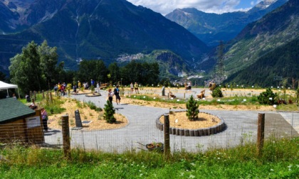 La Valmalenco celebra la natura: torna il Festival delle Piante Officinali