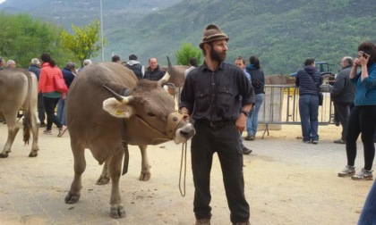Addio ad Alfio Sassella, custode del Bitto Storico e anima dello “Storico Ribelle”
