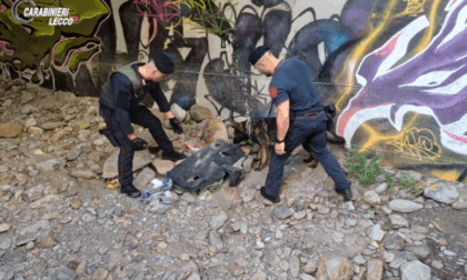 I Carabinieri hanno scovato tre postazioni di spaccio nei boschi
