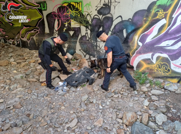 I Carabinieri hanno scovato tre postazioni di spaccio nei boschi