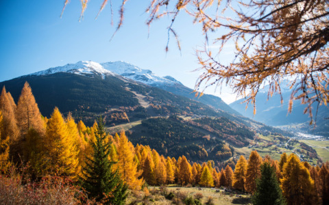 Come gestire l’assistenza? C’è un incontro