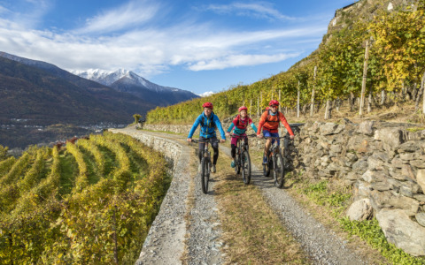 “Il piano della mobilità ciclistica è delirante”