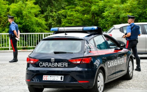 Blitz in tutta la provincia: furti, droga e lavoro irregolare nel mirino dei Carabinieri