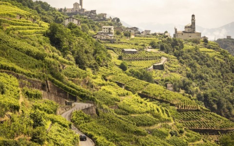 L’evento ViVa è pronto per il debutto