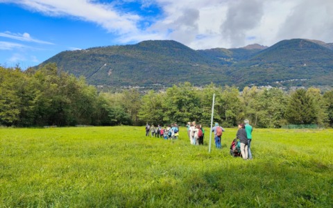 Un Bosco di Contamin-Azioni incanta il pubblico: natura, arte e musica nella Riserva dei Bordighi