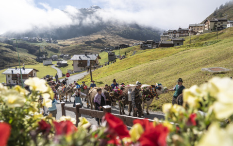 Alpenfest a Livigno: la montagna si racconta tra tradizione ed emozione