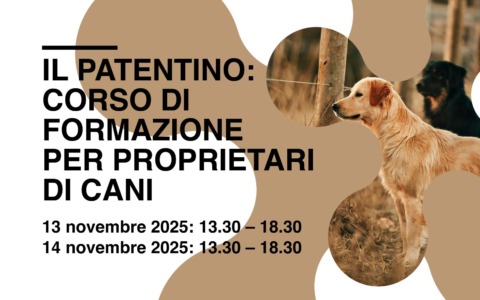 Corso per i proprietari dei cani: come garantire benessere e sicurezza