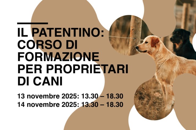 Corso per i proprietari dei cani: come garantire benessere e sicurezza