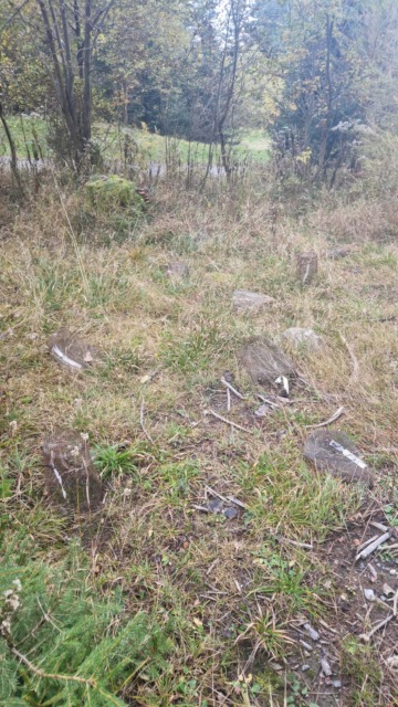 Vandalizzato il “Giardino degli Alberi”: due anni di ricerca in fumo