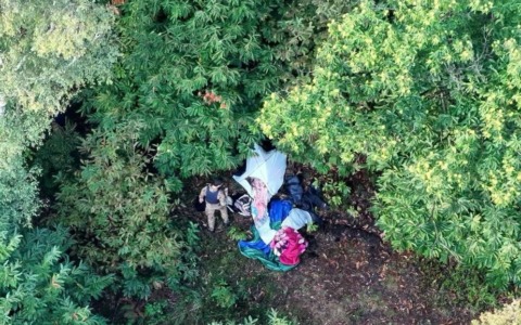 Blitz antidroga in Valtellina: arrestato fuggitivo nei boschi di Talamona