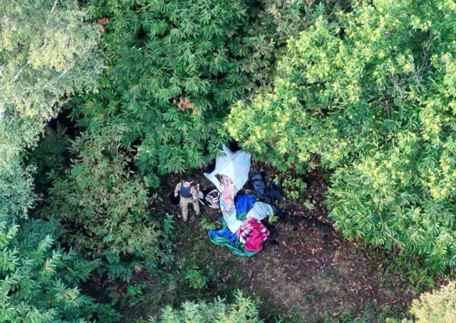 Blitz antidroga in Valtellina: arrestato fuggitivo nei boschi di Talamona