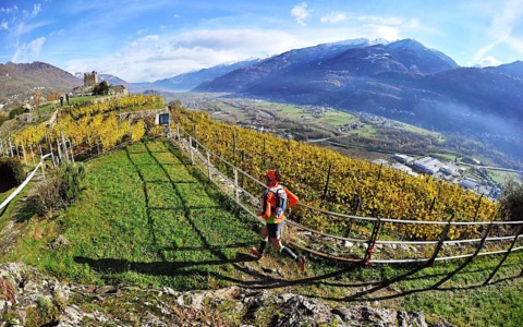 Strada del Vino della Valtellina: tour enogastronomico a 2 ore da Milano