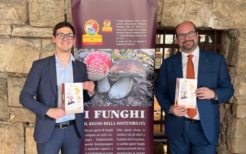 Funghi e tartufi, patrimonio lombardo: nasce la legge per tutelarli e promuoverli