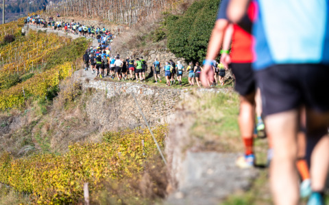 Minoggio e Plattner trionfano alla Valtellina Wine Trail: 5.000 runners in festa tra le vigne