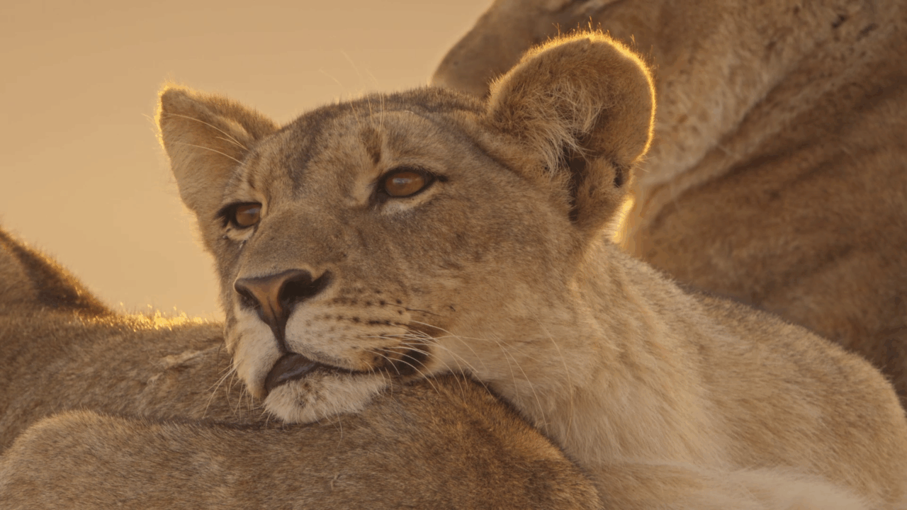 Sondrio Festival: si chiude la prima settimana tra grandi ospiti e applausi