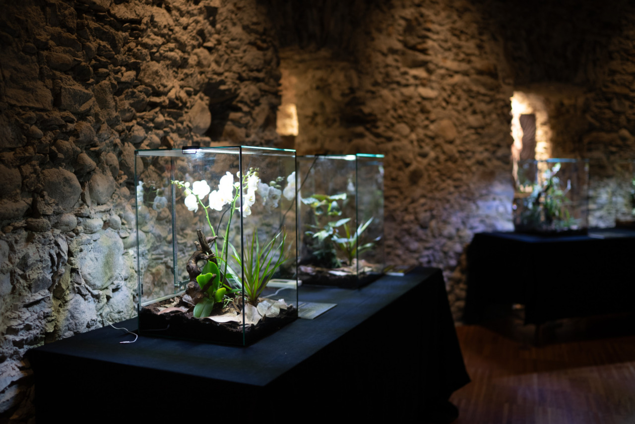 Sondrio Festival-Domani inizia il secondo weekend in natura