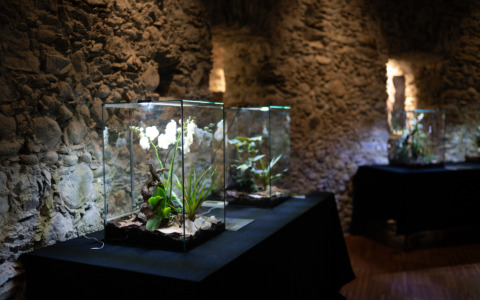 Sondrio Festival-Domani inizia il secondo weekend in natura