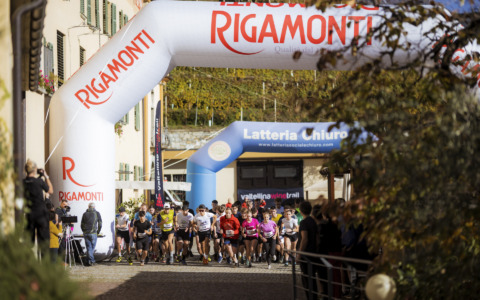 Valtellina Wine Trail 2025: la 12ª edizione si è aperta nel segno dei giovani