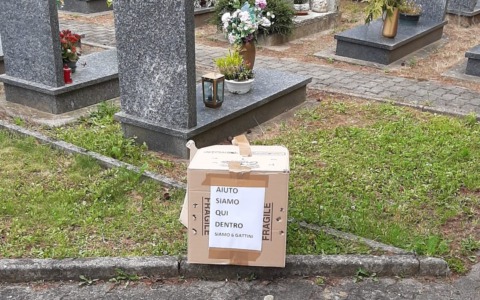 Finisce il 2025, le dodici notizie che descrivono l’anno che va a concludersi