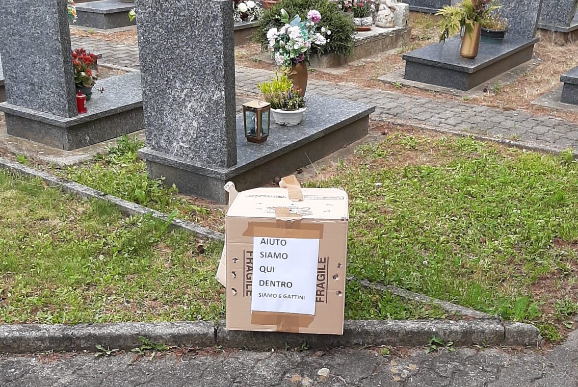 Finisce il 2025, le dodici notizie che descrivono l’anno che va a concludersi