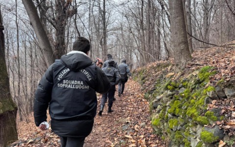 Maxi sequestro di droga nei boschi di Mazzo di Valtellina: arrestati due pusher