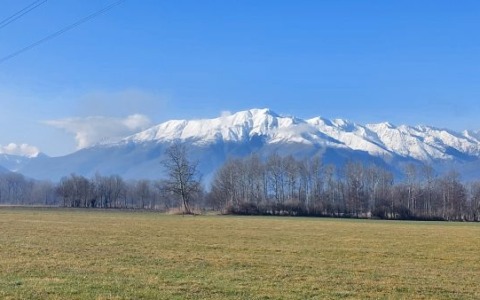 Passeggiata di conoscenza al Pian di Spagna per la Giornata Mondiale delle Zone Umide