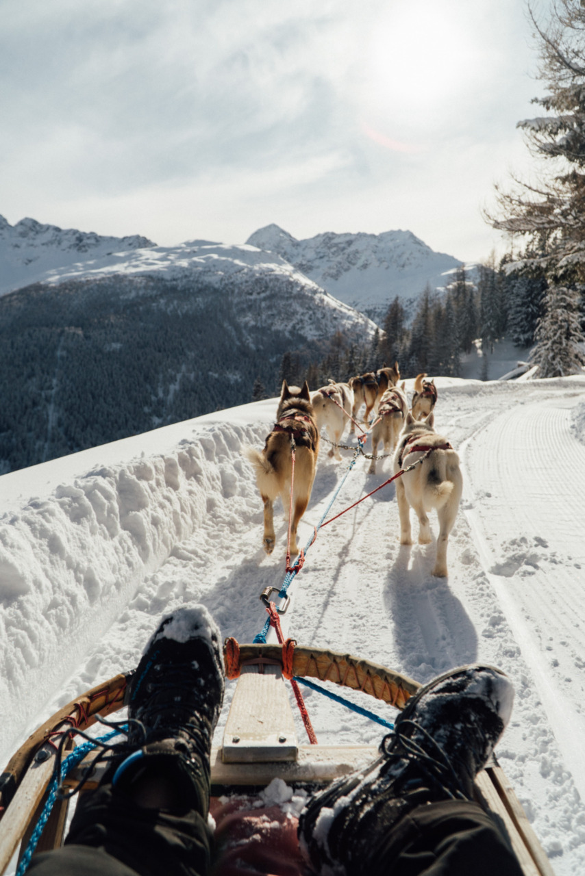 Inverno in Valtellina: cosa fare tra sport, benessere e sapori d’autore